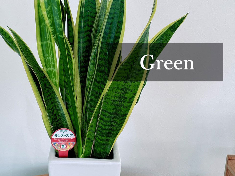 green